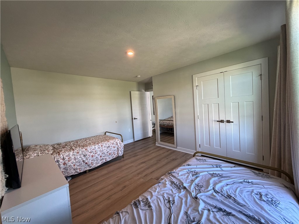 4223 Hidden Village Drive Perry OH 44081