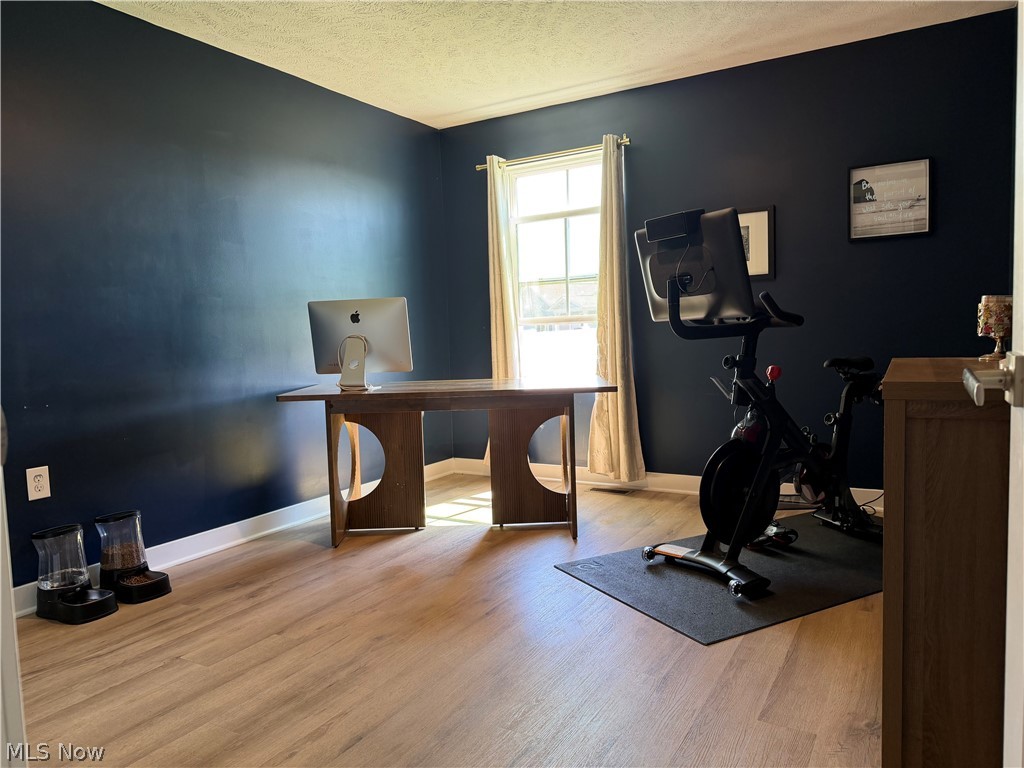4223 Hidden Village Drive Perry OH 44081