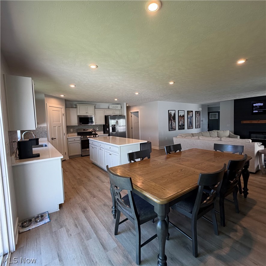 4223 Hidden Village Drive Perry OH 44081