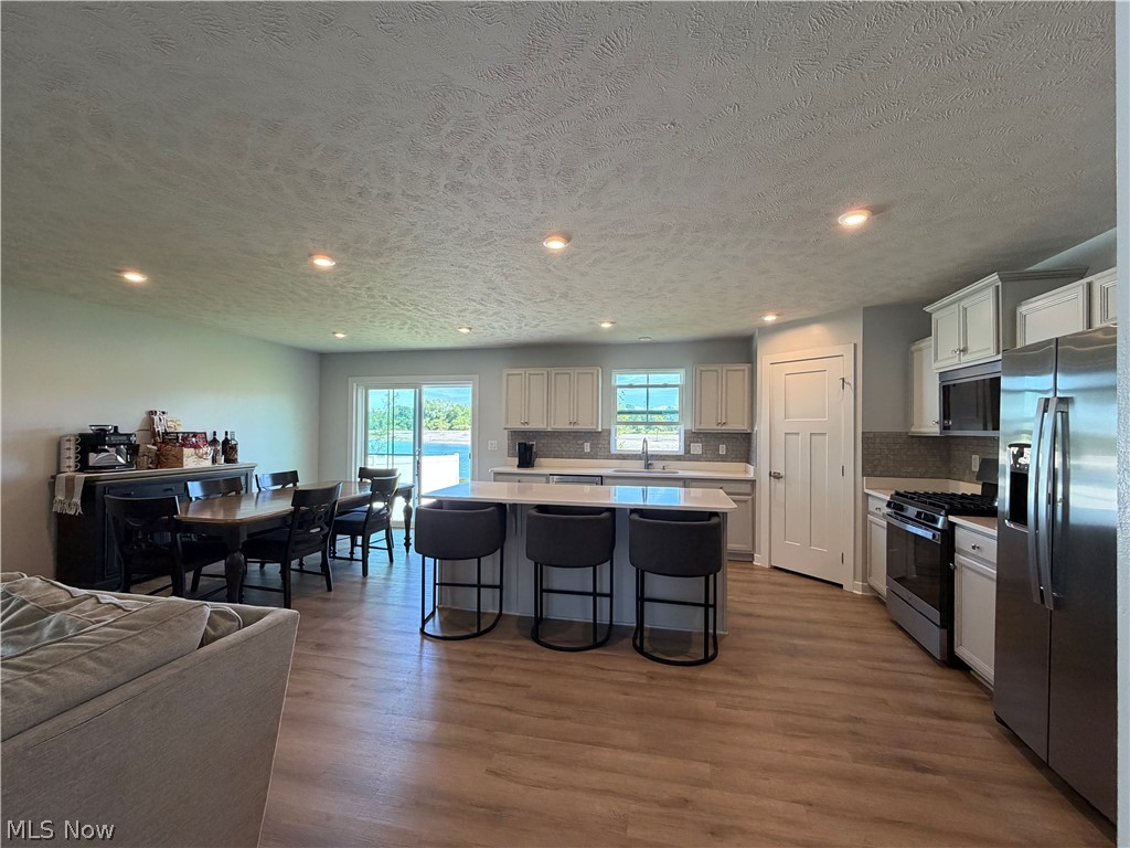 4223 Hidden Village Drive Perry OH 44081