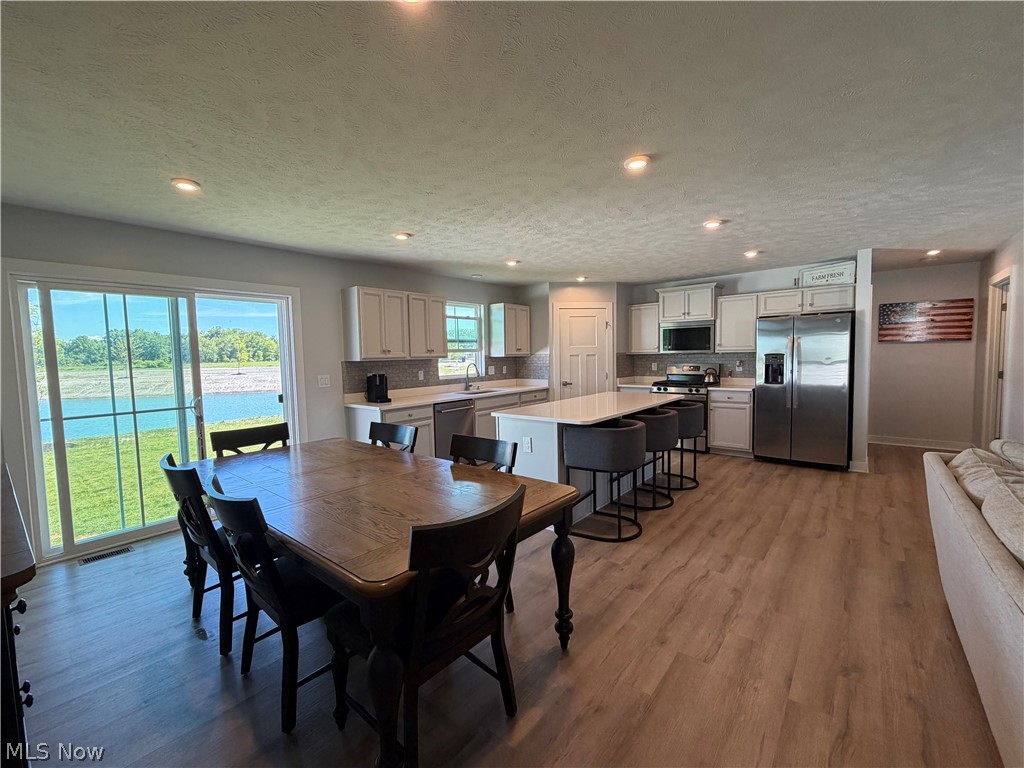 4223 Hidden Village Drive Perry OH 44081