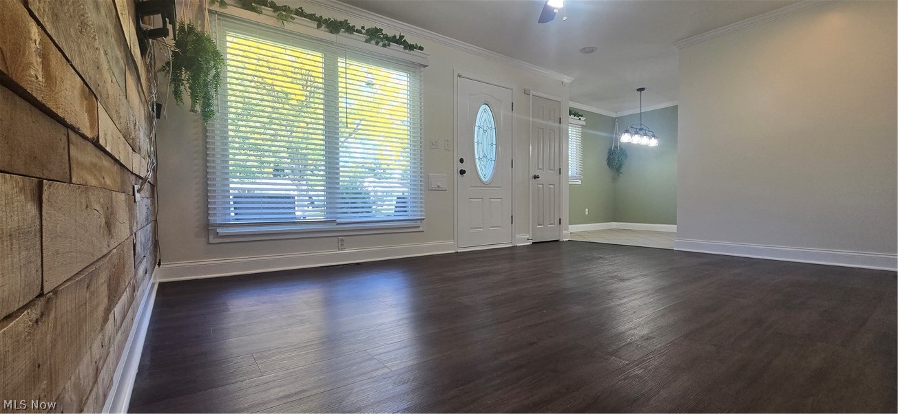 449 Chestnut Drive Berea OH 44017