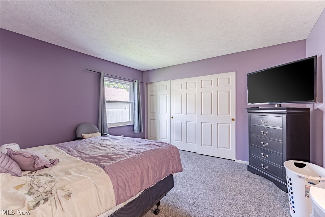 199 E Parkway Drive Madison OH 44057