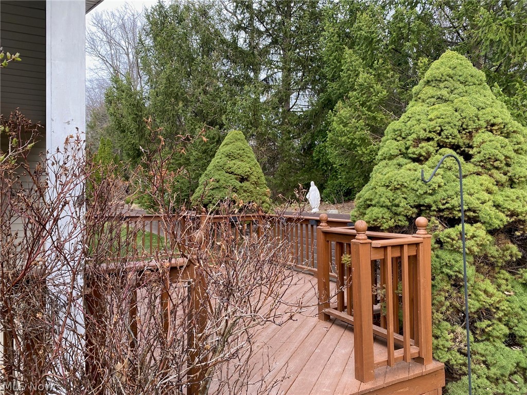 7263 Baldwin Reserve Drive Middleburg Heights OH 44130