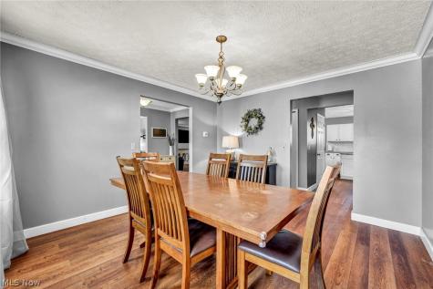 4179 Shenandoah Parkway Brunswick OH 44212
