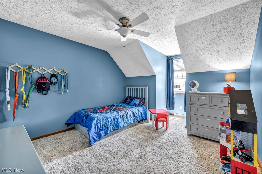 4179 Shenandoah Parkway Brunswick OH 44212