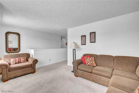366 Denali Court Macedonia OH 44056