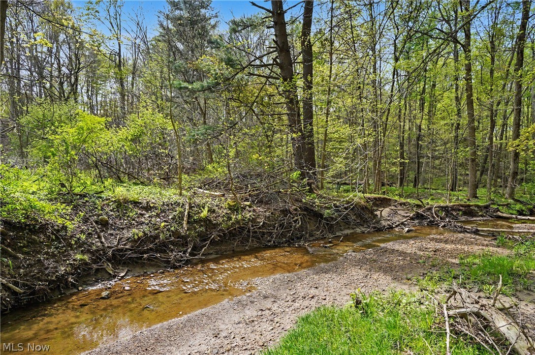 12376 Heath Road Chesterland OH 44026