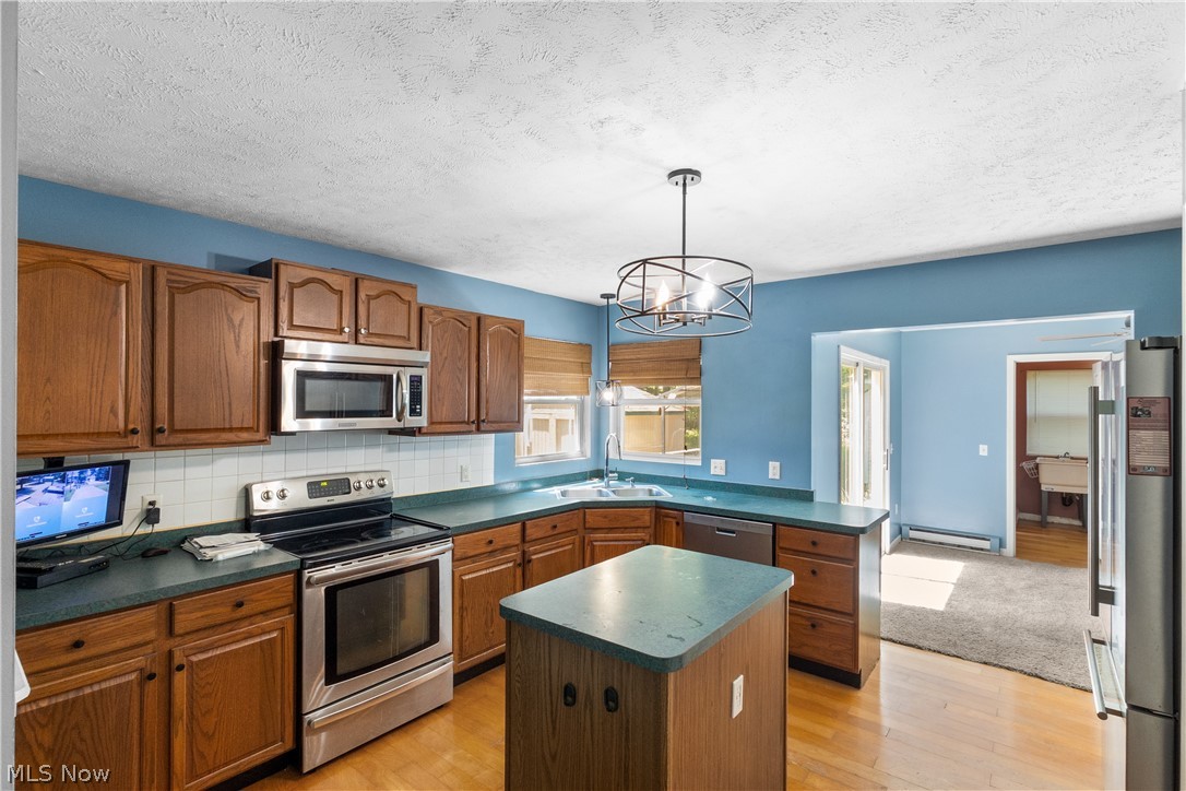 2166 Morning Star Drive Roaming Shores OH 44084