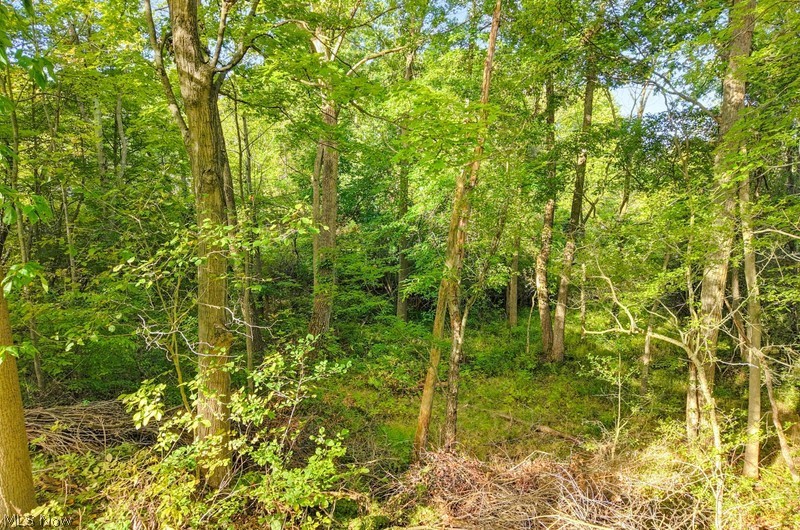 27912 Pergl Road Glenwillow OH 44139