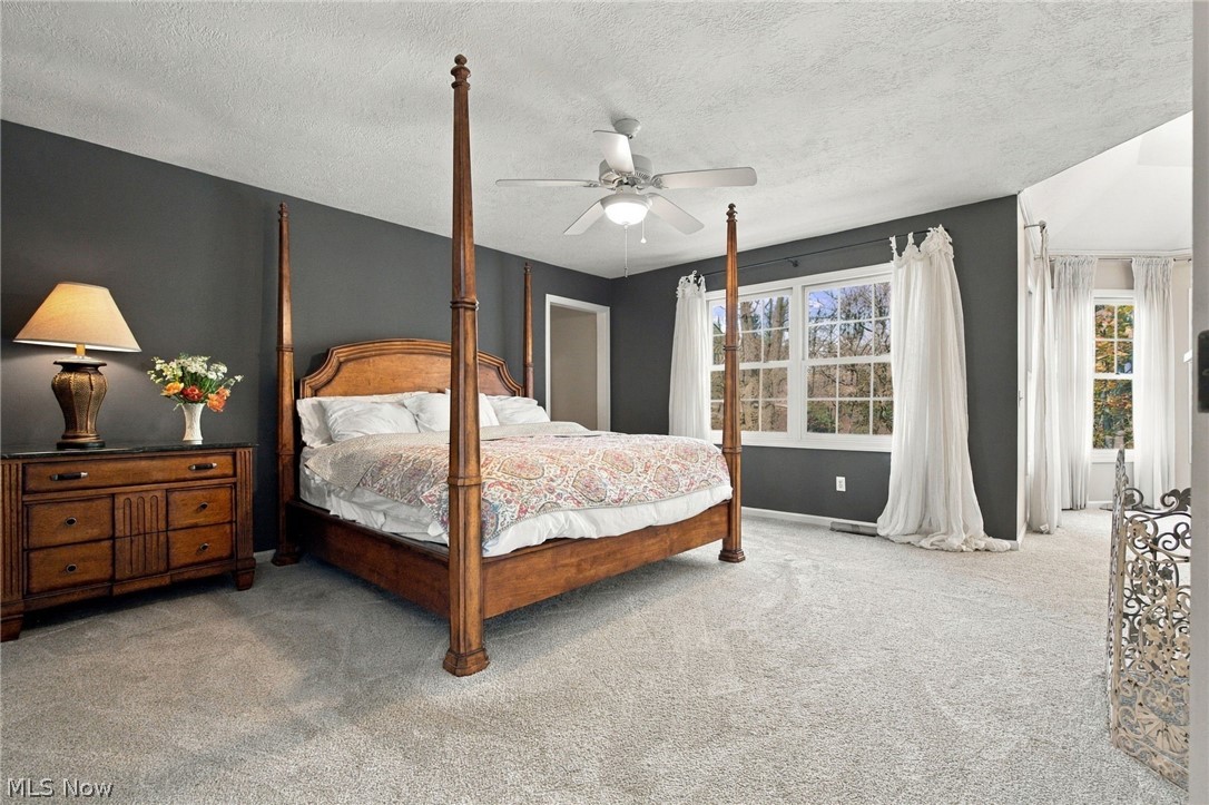 8140 Carrington Place Chagrin Falls OH 44023