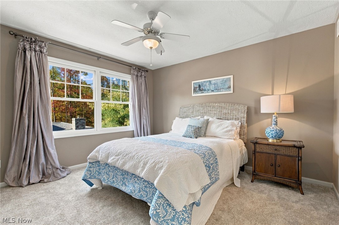 8140 Carrington Place Chagrin Falls OH 44023
