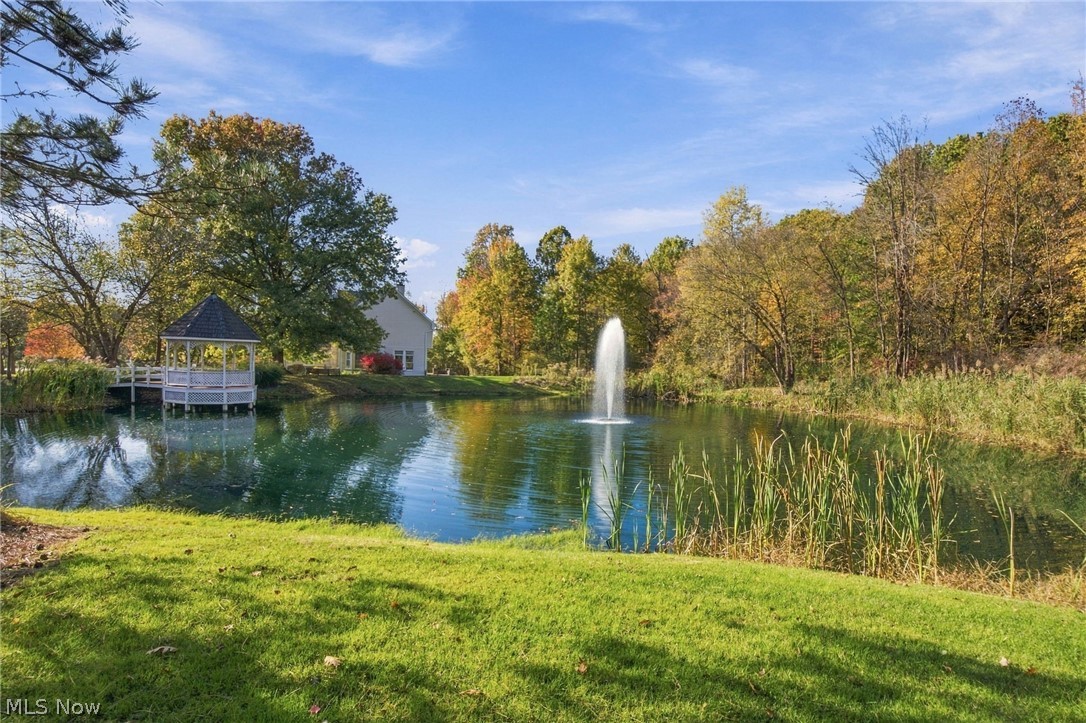 8140 Carrington Place Chagrin Falls OH 44023