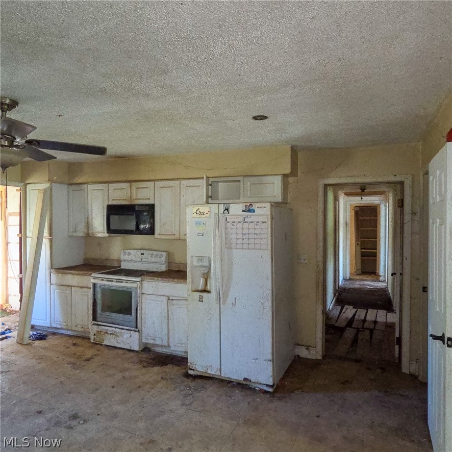 43650 Lafferty Road Flushing OH 43977
