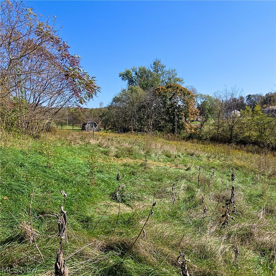 43650 Lafferty Road Flushing OH 43977