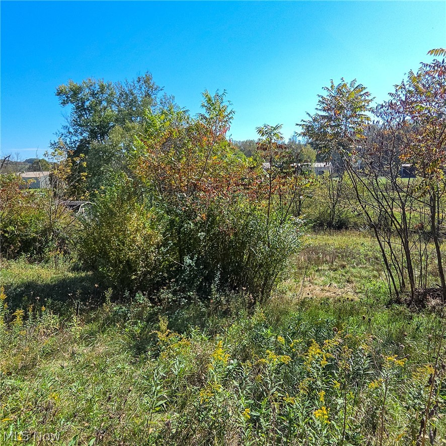 43650 Lafferty Road Flushing OH 43977