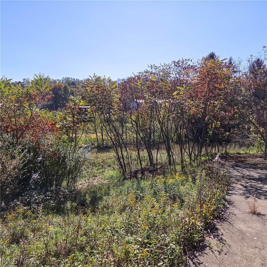 43650 Lafferty Road Flushing OH 43977