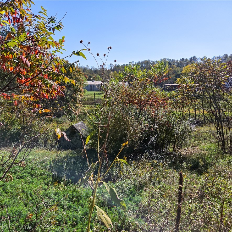 43650 Lafferty Road Flushing OH 43977
