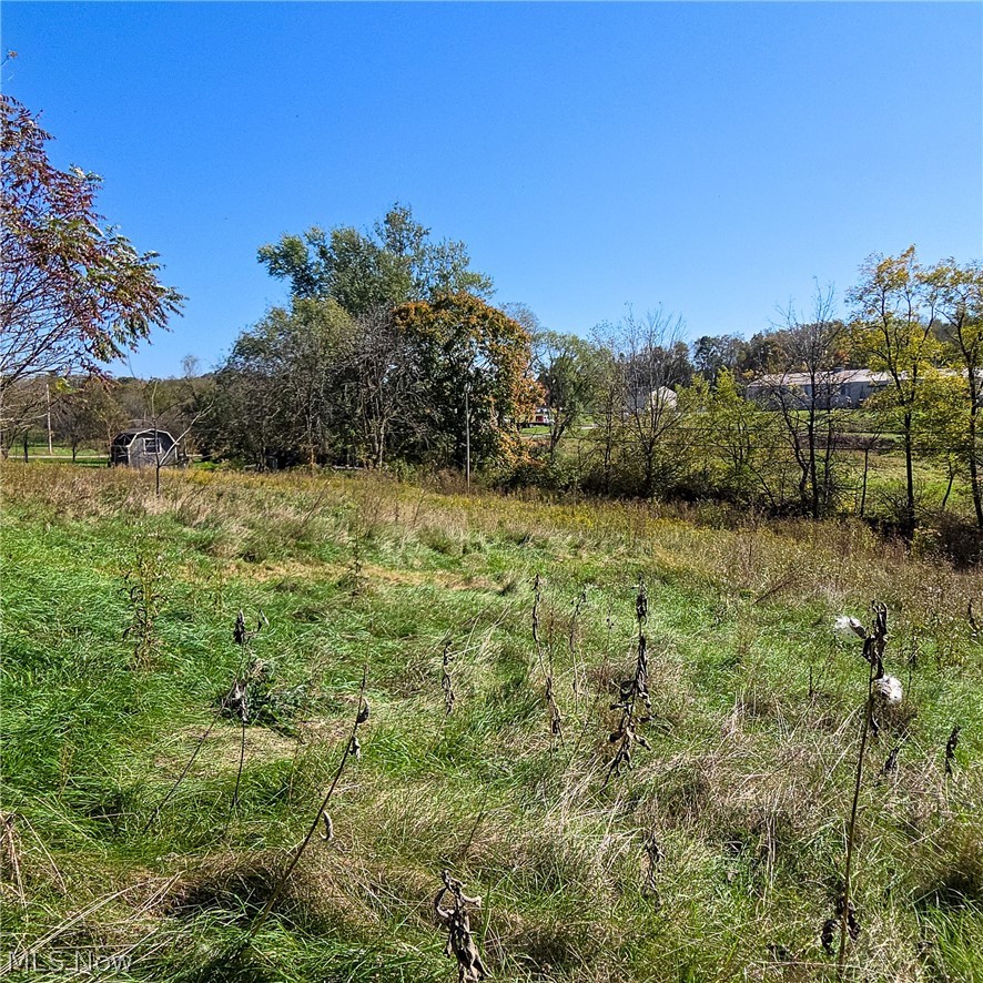 43650 Lafferty Road Flushing OH 43977