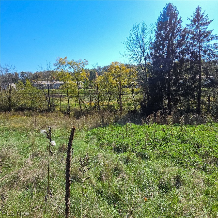 43650 Lafferty Road Flushing OH 43977
