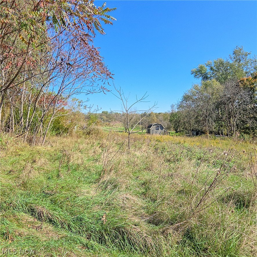 43650 Lafferty Road Flushing OH 43977