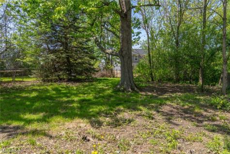 37 Arlington Circle Wickliffe OH 44092