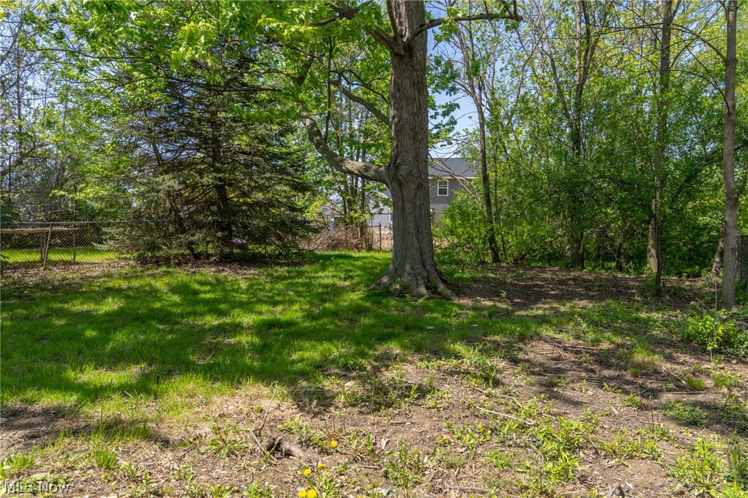 37 Arlington Circle Wickliffe OH 44092