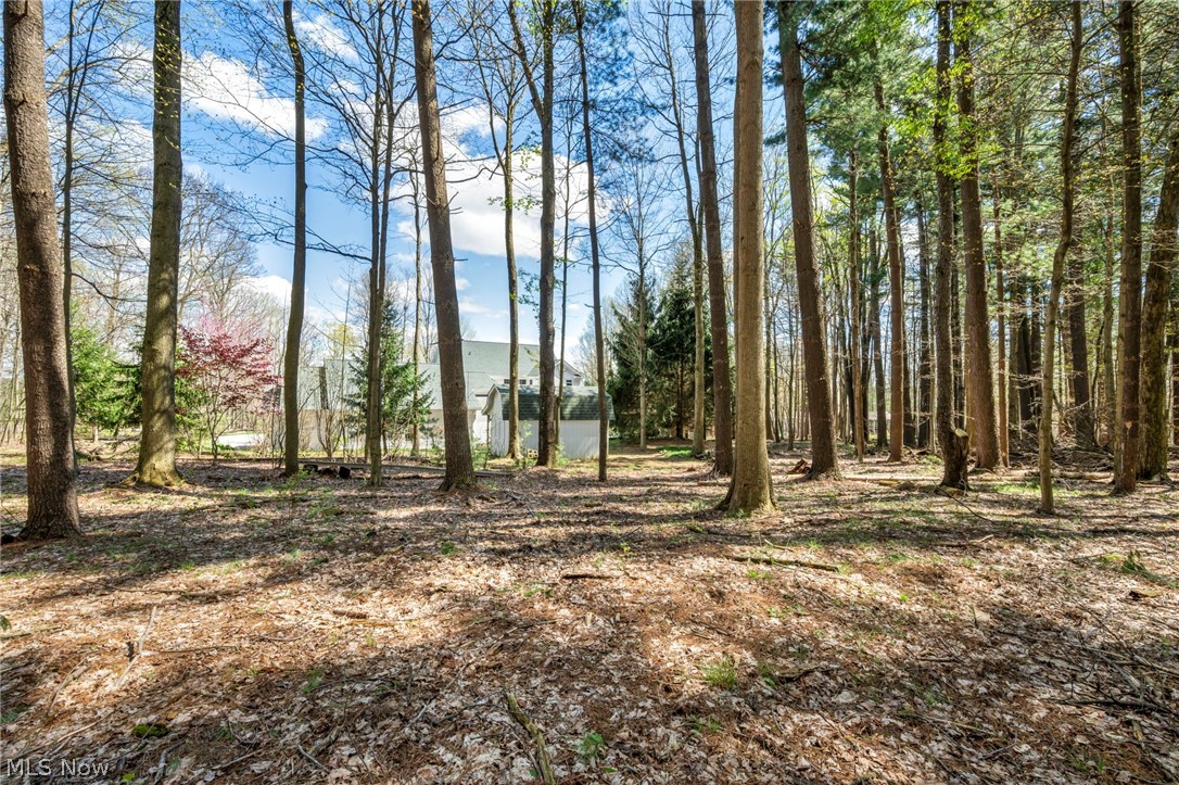11280 Beechnut Lane Chardon OH 44024