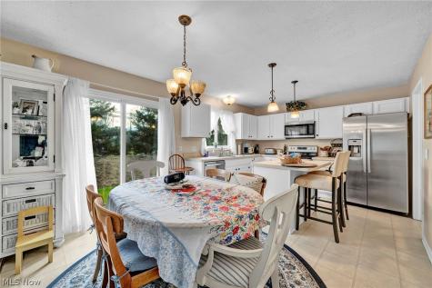 9788 Nicole Lane Olmsted Twp OH 44138