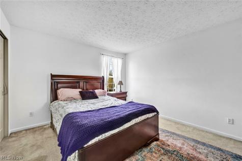 9788 Nicole Lane Olmsted Twp OH 44138