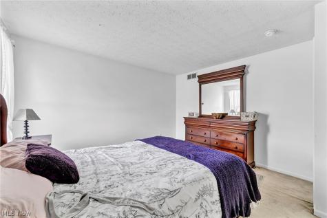 9788 Nicole Lane Olmsted Twp OH 44138