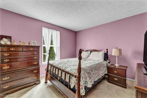 9788 Nicole Lane Olmsted Twp OH 44138