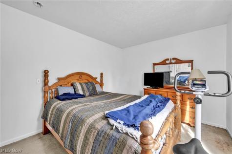 9788 Nicole Lane Olmsted Twp OH 44138