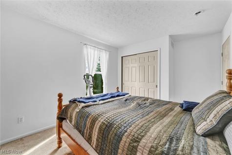 9788 Nicole Lane Olmsted Twp OH 44138