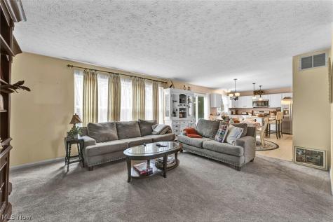 9788 Nicole Lane Olmsted Twp OH 44138