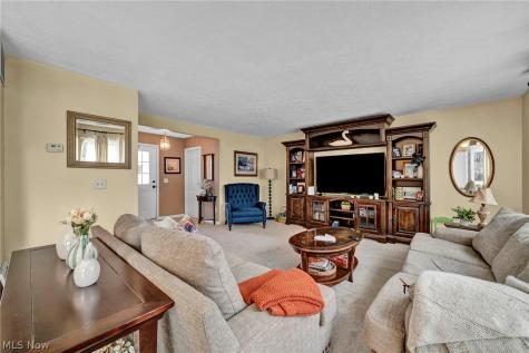 9788 Nicole Lane Olmsted Twp OH 44138