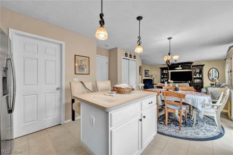 9788 Nicole Lane Olmsted Twp OH 44138