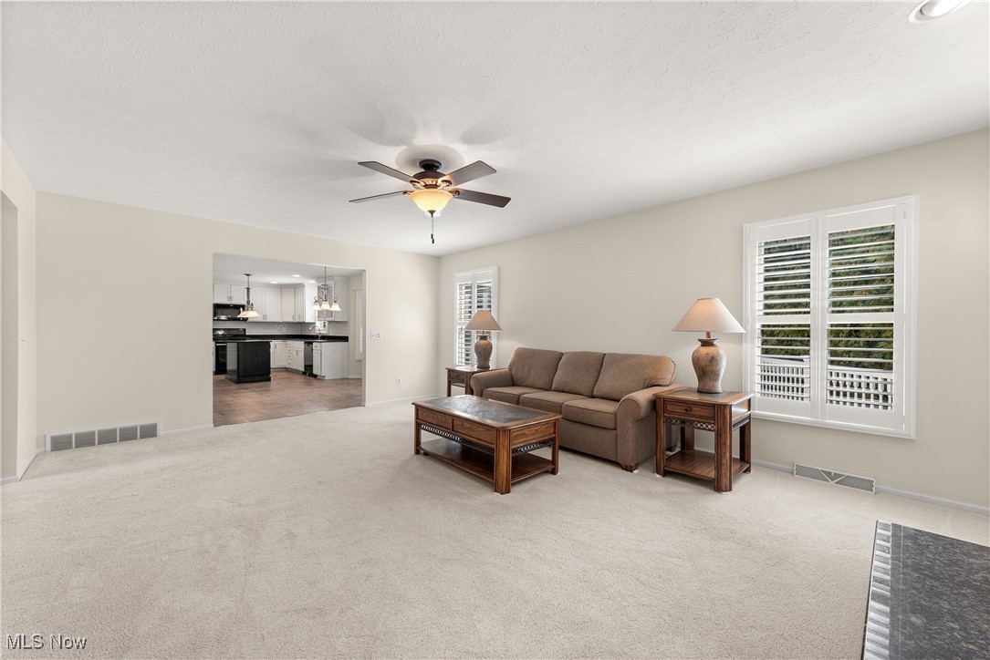 1038 Charleton Drive Medina OH 44256