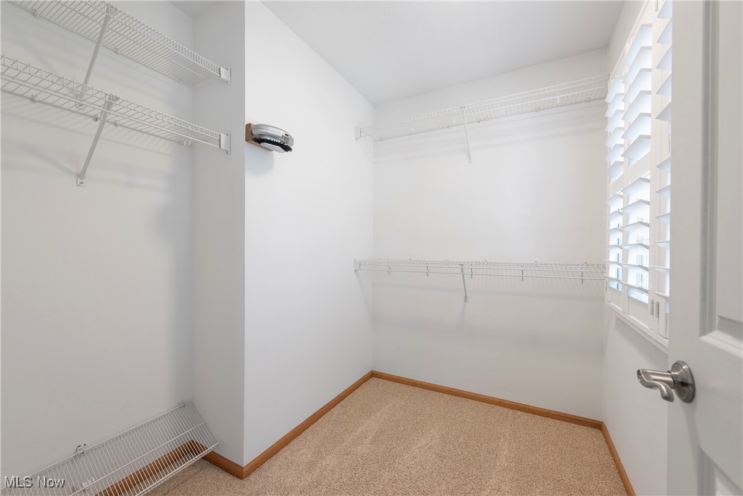 1038 Charleton Drive Medina OH 44256