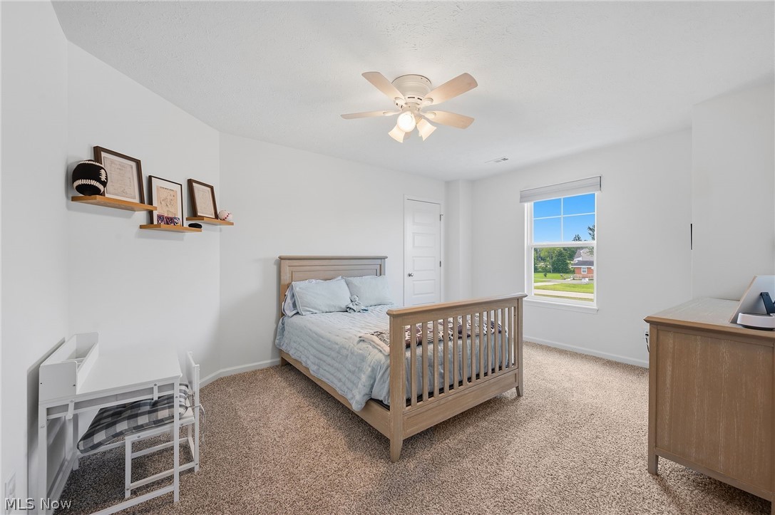 6655 Merlin Drive Medina OH 44256