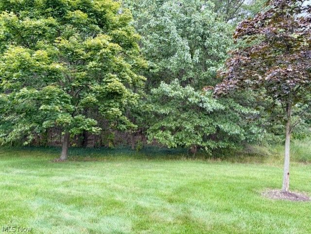 2311 Montague Avenue Avon OH 44011