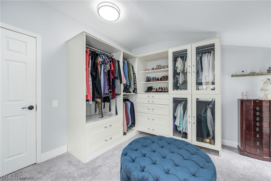 6294 Chestnut Road Independence OH 44131