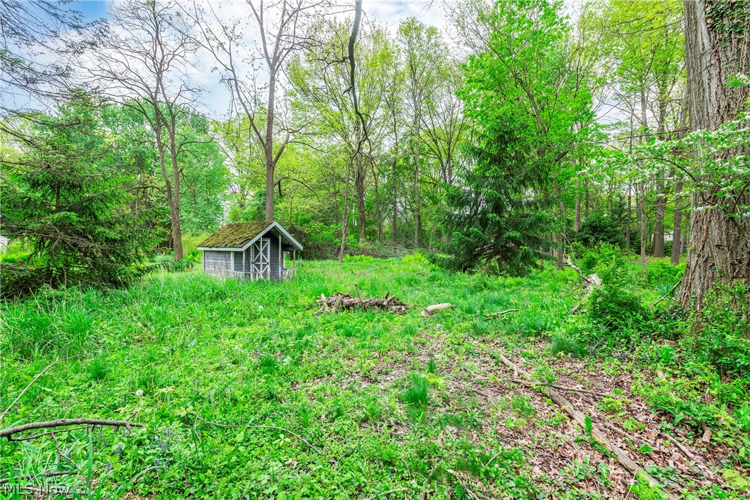 6294 Chestnut Road Independence OH 44131