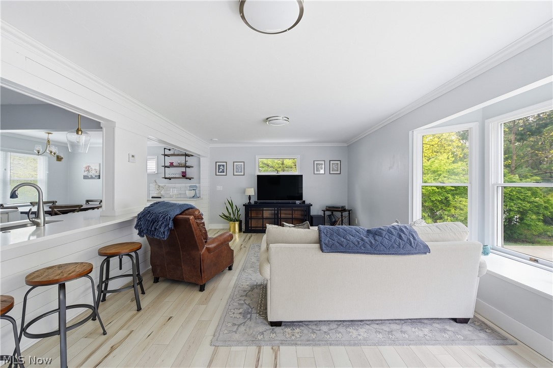 6294 Chestnut Road Independence OH 44131
