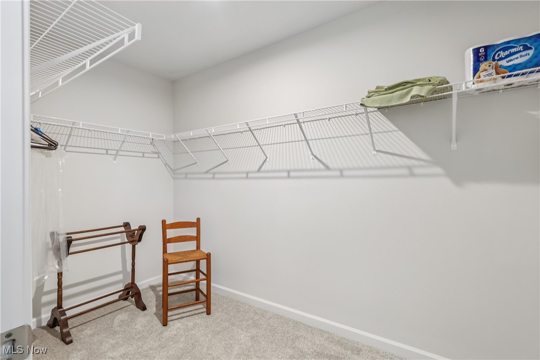 1379 Wood Fern Drive Akron OH 44312