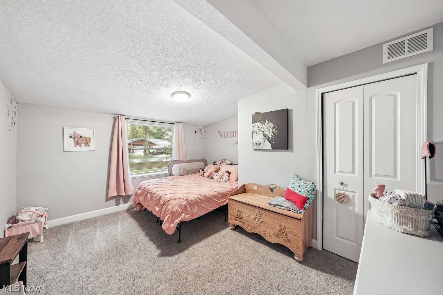 1213 Argyle Drive Madison OH 44057