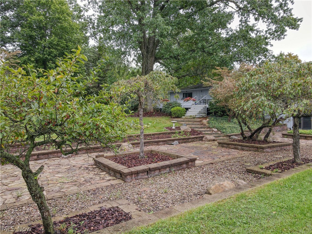 1239 Doralee Drive Mogadore OH 44260