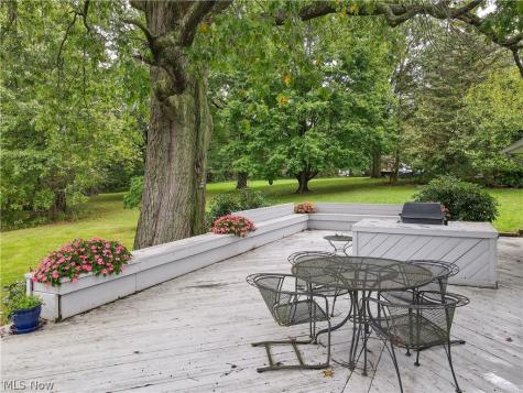 1239 Doralee Drive Mogadore OH 44260