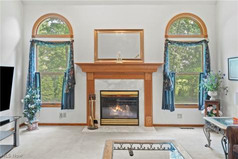 32194 Teasel Court Avon Lake OH 44012