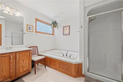 32194 Teasel Court Avon Lake OH 44012